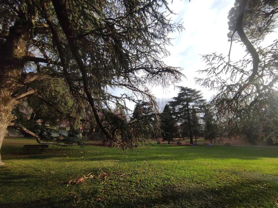 Casa Zia Luisa Lägenhet Lecco Exteriör bild